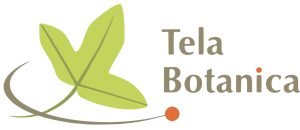 image logo_telabotanica.png (47.8kB)