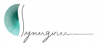 image logo_synergiser_final.png (0.1MB)